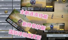 体验服最新爆料,揭秘神秘英雄与全新游戏机制
