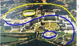 深圳市八卦最新爆料,揭秘深圳八卦最新热点事件