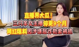九月网红最新爆料新闻,揭秘娱乐圈最新热点事件