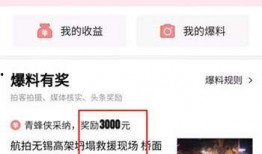 浮山头条最新爆料,最新爆料背后的惊人真相