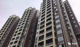 第五大道爆料最新消息是什么,最新消息揭秘！”