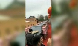 天涯爆料燕子最新,燕子最新动态揭秘，神秘事件引热议
