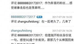 天涯爆料燕子最新,燕子最新动态揭秘，神秘事件引热议